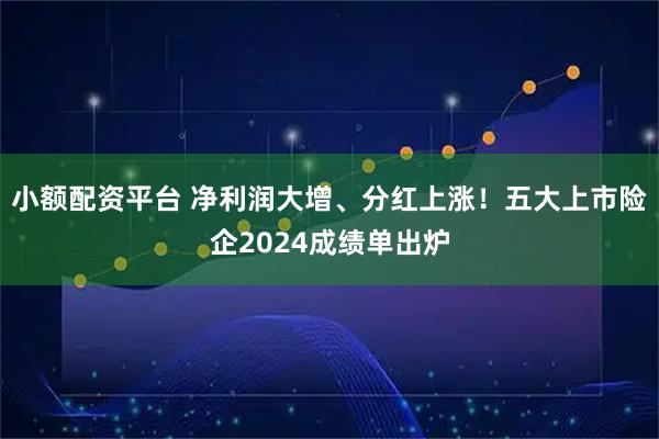 小额配资平台 净利润大增、分红上涨！五大上市险企2024成绩单出炉