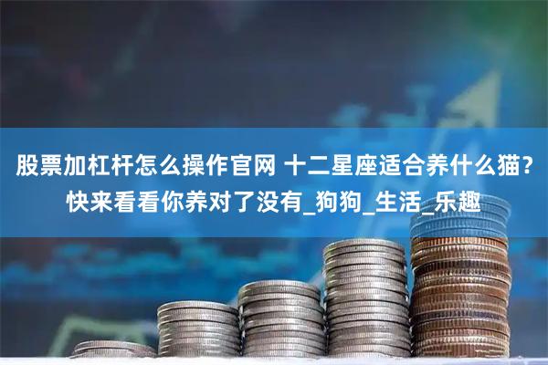 股票加杠杆怎么操作官网 十二星座适合养什么猫？快来看看你养对了没有_狗狗_生活_乐趣