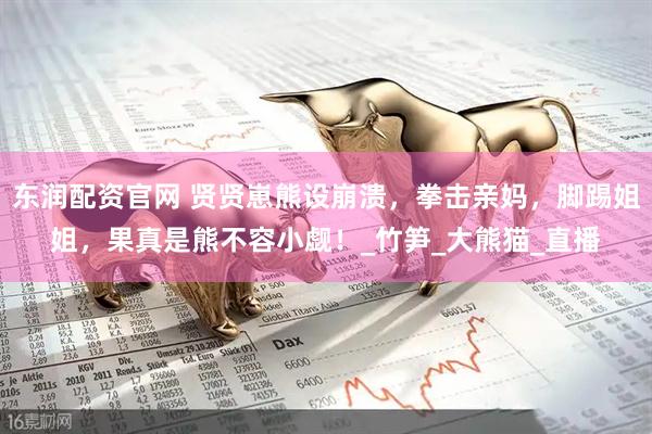 东润配资官网 贤贤崽熊设崩溃，拳击亲妈，脚踢姐姐，果真是熊不容小觑！_竹笋_大熊猫_直播