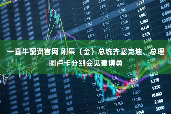 一直牛配资官网 刚果（金）总统齐塞克迪、总理图卢卡分别会见秦博勇