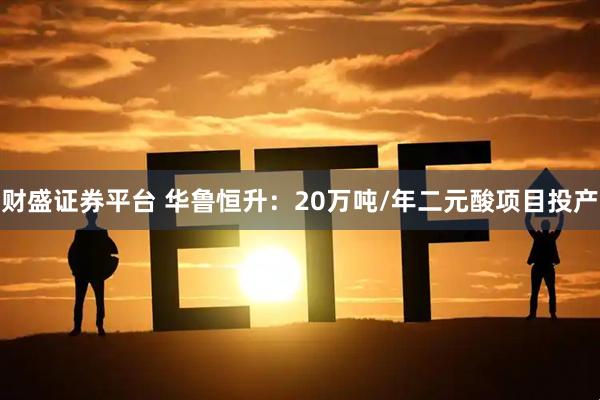 财盛证券平台 华鲁恒升：20万吨/年二元酸项目投产